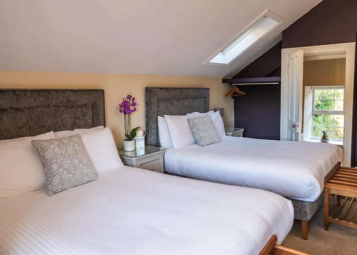 The Castle Castlehaven